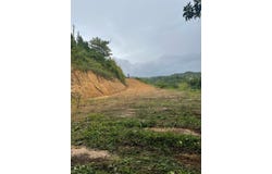 Lote #7 BO MONTELLANO, CIDRA, 00739