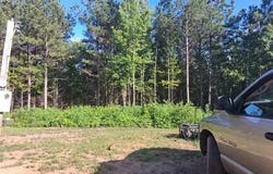 2100 Pleasant Hill Rd, Ashland, AL 36251