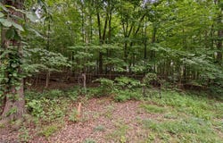 58 State Route 42, West Salem, OH 44287