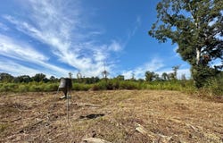 1 Highway 35, Forest, MS 39074