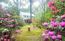 181 Gilreath, Dahlonega, GA 30533