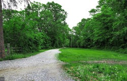 13169 BUCKSHUTEM ROAD, MILLVILLE, NJ 08332