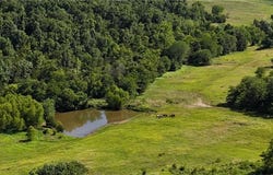 979 Madison 7305, Wesley, AR 72773