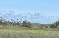 TBD Yates Creek Road, Perry, FL 32348