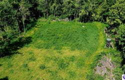 Tract 6 Cook Lane, Cromwell, KY 42333