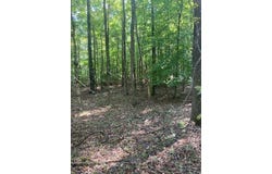 New Smith Rd, Abbeville, SC 29620