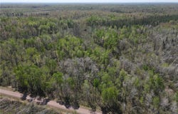 Tbd Engine Hill Road, Dairyland Twp, WI 54830