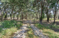 25399 MONDON HILL ROAD, BROOKSVILLE, FL 34601