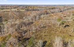 Co Rd 1067, Vinemont, AL 35179