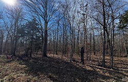 2419 Ripley Rt. BB, Fairdealing, MO 63939