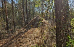 737 N Vass Road, Raeford, NC 28376