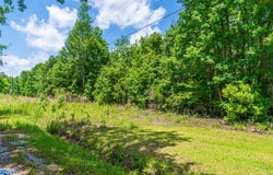 0 Park Circle, Branchville, SC 29432