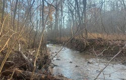 0 Tract 1 (160+/- acres) Lodge Road, Potosi, MO 65441