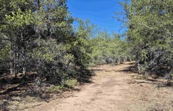 Parcel 1 Rice Lake, Gwinn, MI 49841