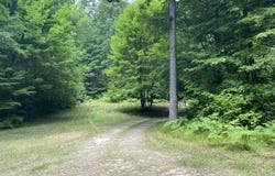9190 Ferris Avenue, Bitely, MI 49309