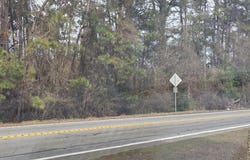 Highway 247, Kathleen, GA 31047