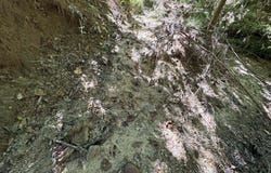 Delaware Avenue, McComb, MS 39648