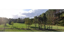 0 HWY 371, Ringgold, LA 71068