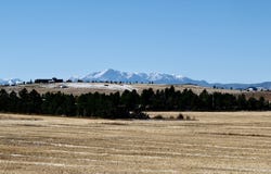 TBD Heidemann Rd, Franktown, CO 80116