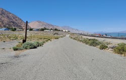 Golden Willow & Cottonwood, Walker Lake, NV 89415