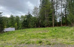 Oregon Tax ID 436205 AVE, Vernonia, OR 97064