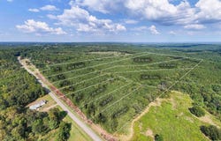 COUNTY ROAD 87 lot: 7, ROANOKE, AL 36274