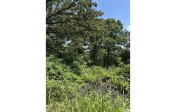 Plat 9 Lot 15, 19 and 22 Deer Run, Van Buren, MO 63965