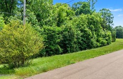 105 E Crockett Loop lot: 105, Hernando, MS 38632