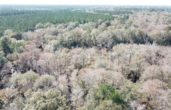 FM 770, Kountze, TX 77625