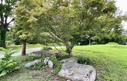 8220 Lucas Lane, Powell, TN 37849