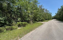 E Renwick Circle lot: 86, Presque Isle, MI 49777