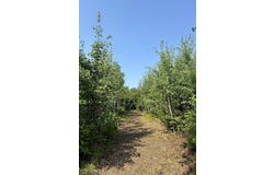 6 County Road T, Danbury, WI 54830