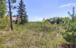 80046 Alder Lane, Tower, MN 55790