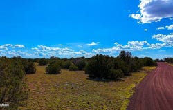 8730 Coronado Drive, Show Low, AZ 85901