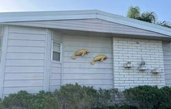 8775 20th St, Vero Beach, FL 32966