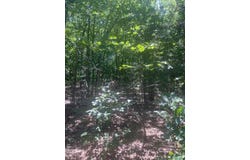 0 Villa Vista Drive, Owensville, MO 65066