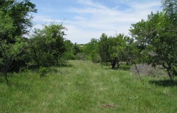 FM 2842, Pottsville, TX 76565