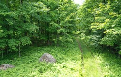 460 Little John Road, Colton, NY 13625