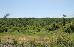 39250-9260 Hwy 27, Tilly, AR 72679
