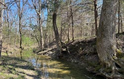 0 Camargo Rd, Nettleton, MS 38858