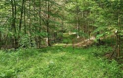 2 Ely Road, New Albany, PA 18833