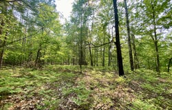 1086, 1087 Michaywe Drive lot: 1086,1087, Gaylord, MI 49735