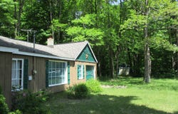 256 Tobias Road, Elmira, MI 49730
