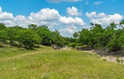 21975 FM 2093, Harper, TX 78631