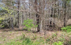 00 East E Hillcrest Street, Mountain City, TN 37683