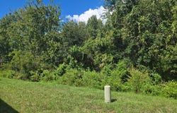 6737 Strawberry, New Port Richey, FL 34653