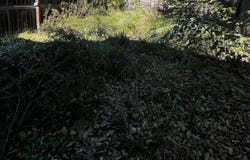 433 HENDERSON AVENUE, CUMBERLAND, MD 21502