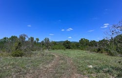 Stoney Point, Odem, AR 71961
