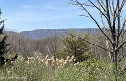 241 Route 208, New Paltz, NY 12561