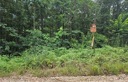 TBD County Road 224, Eureka Springs, AR 72632